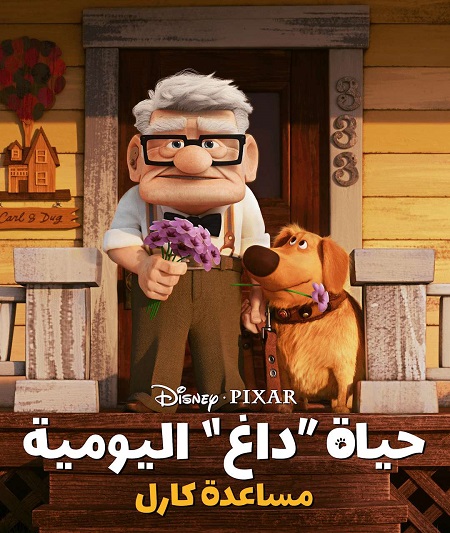 صورة الغلاف
