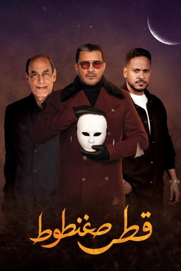 صورة الغلاف